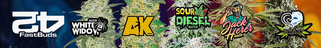 25-08-2FastBuds-new-dlouhy